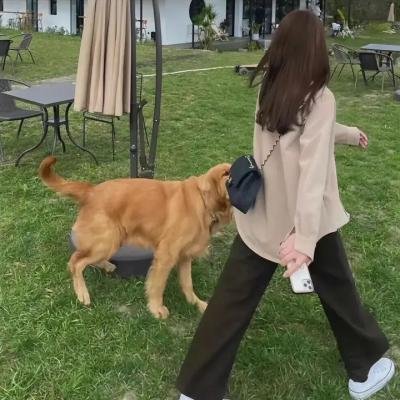 牛仔公主
